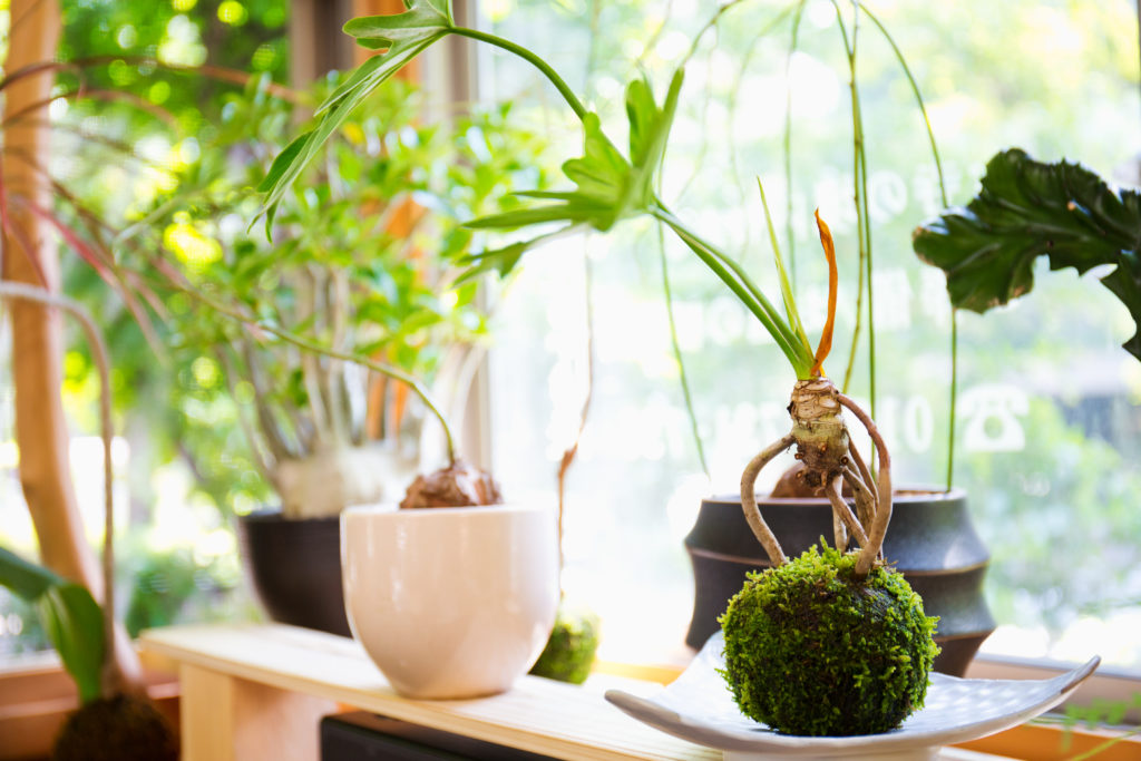 世田谷のちいさな葬儀社ともいき社の相談所内